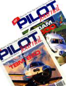 pilot-journal-crvs